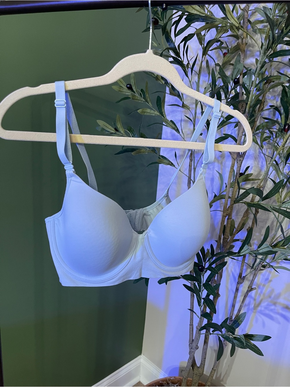 Warner's Light Blue Smooth T-Shirt Bra